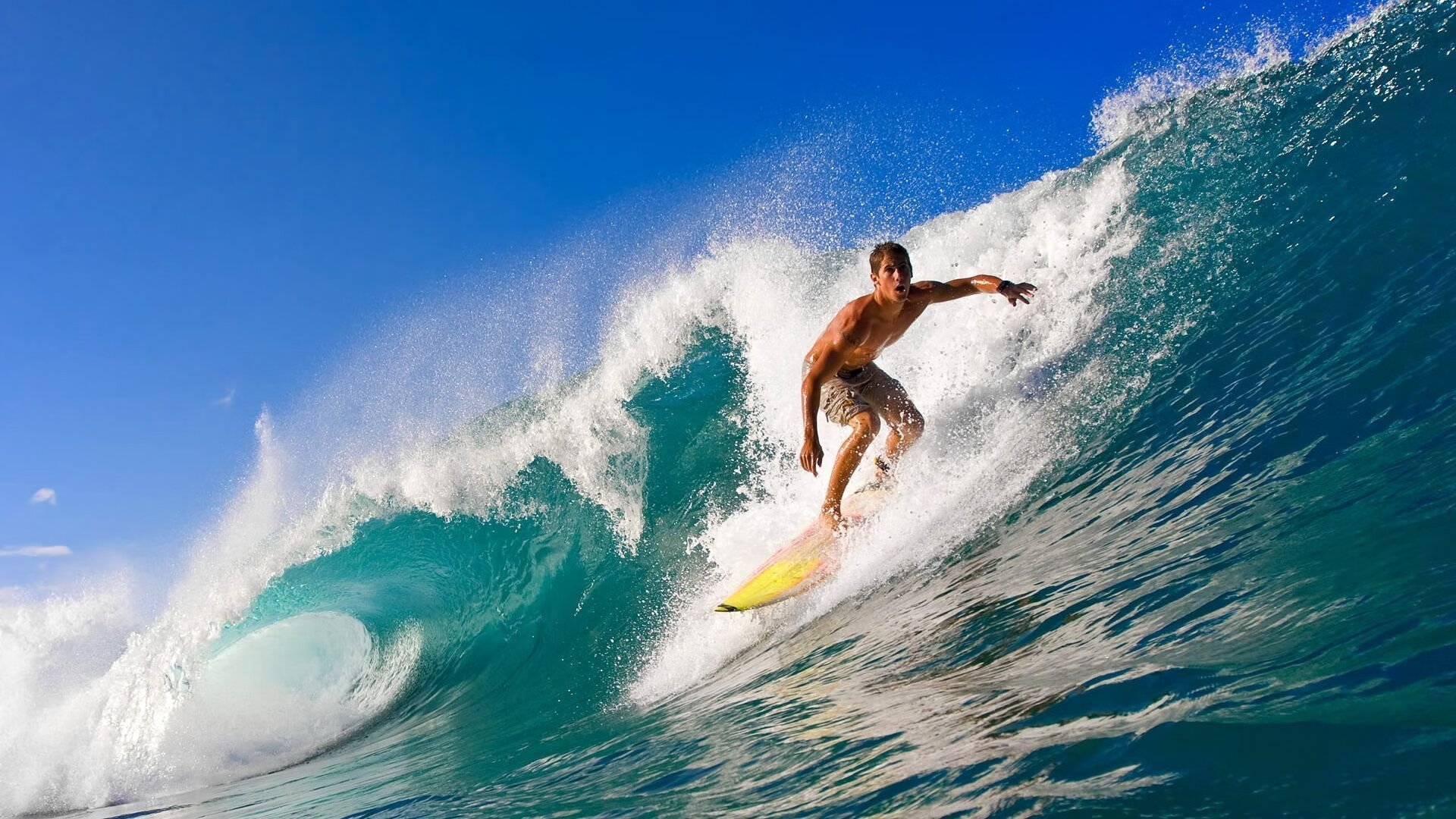 球队的家庭日：幕后温馨瞬间大揭秘，家庭足球队